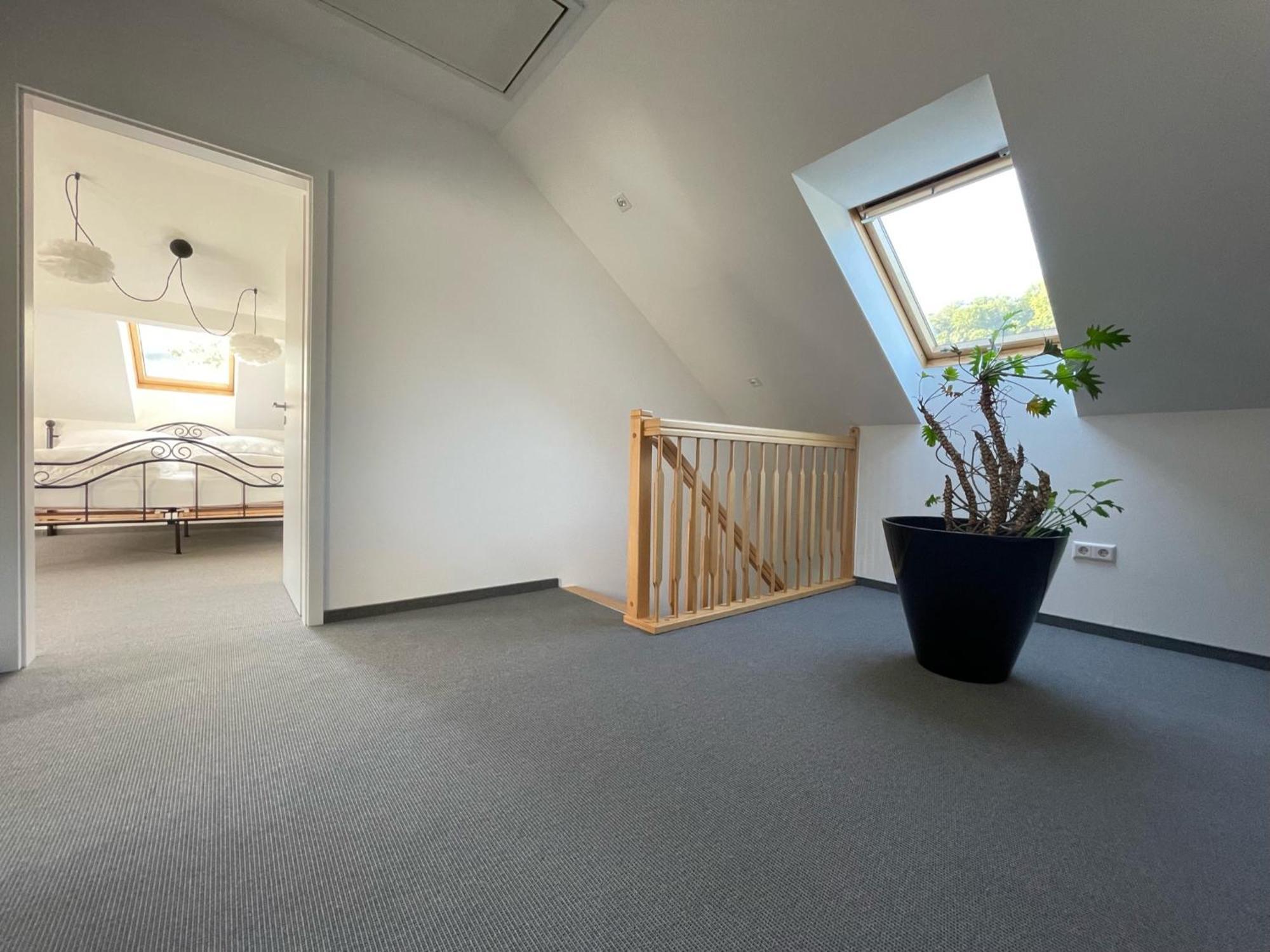 Haigerloch Stilvolle Wohnung Fuer 2-3 Personen - Mit Riesiger Dachterrasse מראה חיצוני תמונה